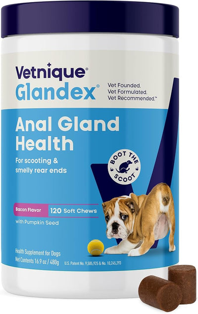 Vetnique Glandex Anal Gland Soft Chew Treats with Pumpkin for Dogs Digestive Enzymes, Probiotics Fiber Supplement for Dogs Boot The Scoot (Bacon Flavor Chews, 120 Count) (Pack of 2)