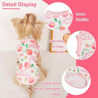 Dog Shirt Vest Dog Clothes for Small Dogs Boy Girl Stretchy Summer Puppy T-Shirts Soft Breathable Lightweight Puppy Sweatshirt Pet Cat Outfit (Peach, Small)