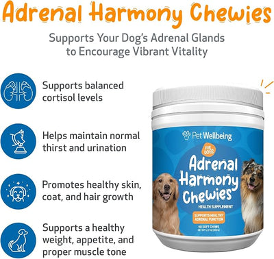 Pet Wellbeing Adrenal Harmony Chewies for Dogs - Dog Adrenal Support & Cortisol Balance with Ashwagandha & Bacopa - NASC Certified & Vet-Formulated - 90 Soft Chews