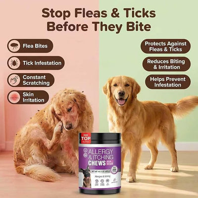 Dog Allergy Chews for Dogs, Itch Relief Support for Itchy Skin, Paw Licking & Itchy Ears, Skin & Coat Health with Colostrum & Probiotics, Chicken Flavor Soft Chews, 200 Count