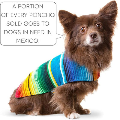 Dog Clothes - Handmade Dog Poncho from Authentic Mexican Blanket by Baja Ponchos (Blue, X-Large)