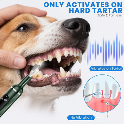 Pet Ultrasonic Tooth Cleaner,Dog Plaque Remover Tool,Green | dog teeth cleaning,plaque remover for teeth,dog tartar and plaque remover,plaque off for dogs,5 Mode Pet Teeth Cleaning Kit