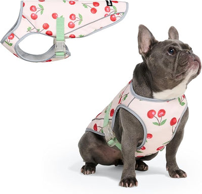 Spark Paws Dog Cooling Vest - SPF 50 UV Sun Protection - Summer Heat Relief Gear for Dogs, Lightweight, Evaporative Cooling - Dog Anxiety Relief Vest During Hot Days - Cherries - Size 2XL