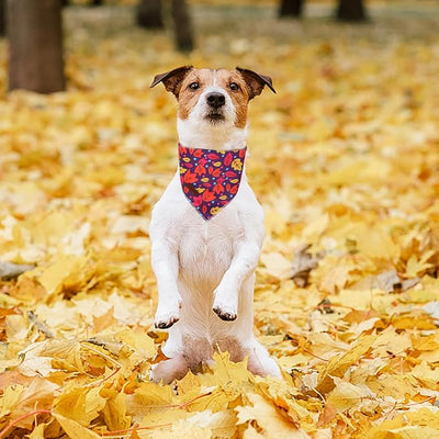 Unique Style Paws Dog Bandanas 1PC Washable Cotton Triangle Dog Scarfs Autumn with Colorful Maple Leaf for Small Medium Large Dogs and Cats
