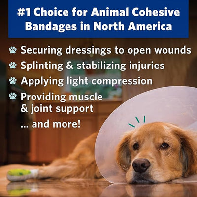 OVIK Health PetFlex No Chew – Flexible Self-Adhering Elastic Bandage for Wound Care – First Aid Wrap for Small Animals Like Dogs, Cats, and Other Pets - 3 inch, 2 Rolls