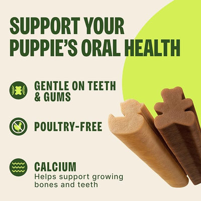 Wellness WHIMZEES Puppy Natural Dog Dental Treat, Chews, Freshens Breath, Extra-Small/Small Size, 7.9 oz Bag, 30 Count