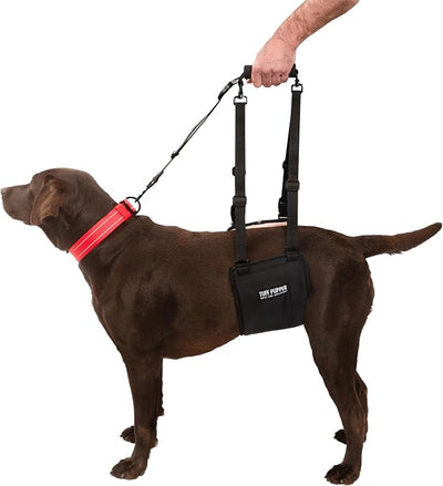 Tuff Pupper Dog Sling Hip Harness | Rear Lift Support for Senior & Injured Dogs | Adjustable Mobility Aid | Strong Padded Handle | Comfortable Design | Hip & Hind Leg Assistance (Medium/Large, Female)