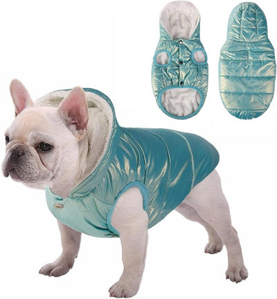 SAWMONG Waterproof Dog Winter Coat, Warm Fleece Lined Dog Jacket with Hood, Windproof Puppy Coat, Pet Apparel Vest Outdoor&Indoor Winter Activities(Mintgreen,L)