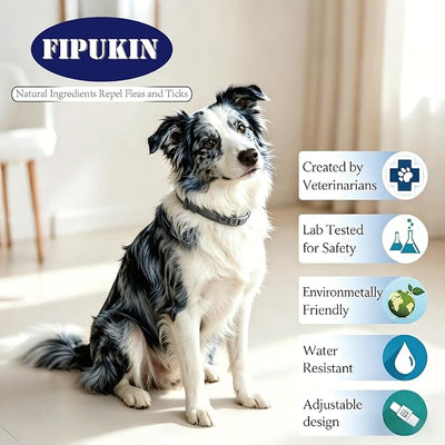 Flea and Tick Collar for Large Dogs, 2‑Pack | 8‑Month Waterproof Protection with Natural Essential Oils | Includes Comb & Tick Removal Tool