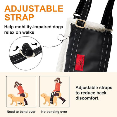 Dog Lift Harness - Cover Geny Adjustable Sling for Rear Legs with Soft Support for Senior, Injured, Disabled Dogs After ACL Surgery - Helping Pets with Canine Aid and Rehab Support (XL)