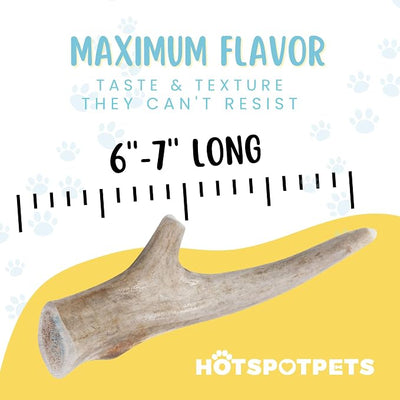 hotspot pets Deer Antlers for Dogs - 7+ Inch Large Dog Antler Chews Naturally Shed Antler Bone (4 Pack) for Large Breed Aggressive Chewers - Sourced in USA -Promotes Dental Hygiene- Rich in Calcium