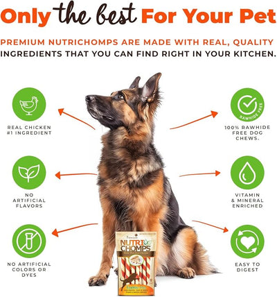 NutriChomps Dog Chews 5-inch Twists, Easy to Digest, Rawhide-Free Dog Treats, Real Peanut Butter Flavor & Real Chicken Flavor (NT112V) - 10 Count (Pack of 2)