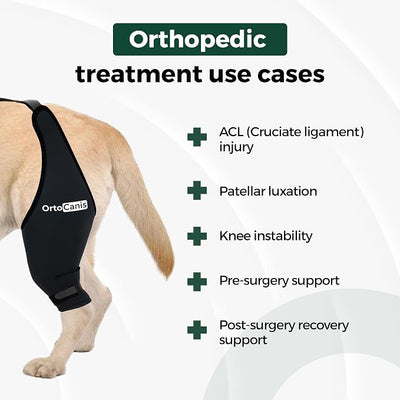 Ortocanis Dog Knee Brace for Hind Leg Support – Flexible Neoprene Knee Brace for Dogs with Joint Instability, Torn ACL, Limping or Osteoarthritis – Comfortable Support for Recovery (XXS, Right Leg)