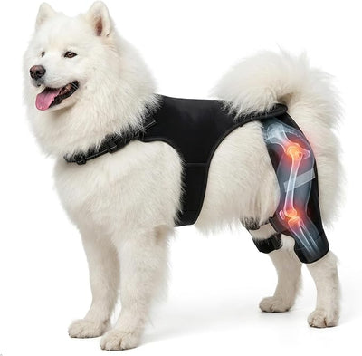 Dog Knee Braces for Torn ACL Hind Leg, Adjustable Dog Leg Braces for Back-Leg with Four Stabilizers for Luxating Patella Relieves Ligament Injury and Joint Pain (2XL)