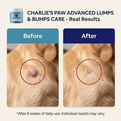 Charlies Paw Advanced Lumps & Bumps Care, Supplement for Dogs - 100 G (3.5 OZ)