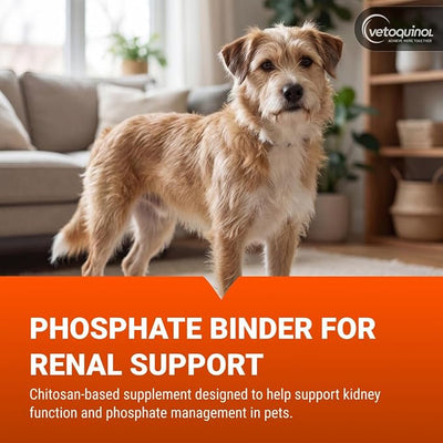 Vetoquinol Epakitin Chitosin-Based Phosphate Binder for Cats & Dogs – Renal Support Supplement Powder - 300g