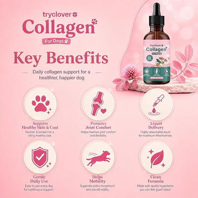 Collagen for Dogs, Bloom Collagen for Dogs, Premium Liquid for Daily Joint Skin Health & Coat, Gentle Formula, Convenient to Add to Food, 60ml (2pcs)