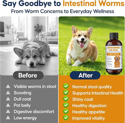 Dewormer for Dogs and Puppies, 7-Way Dog Wormer Oral Liquid with Pyratl Pamot & Prziqtl, Broad Spectrum Worm Support for Tapeworms, Roundworms & Hookworms, 100ml