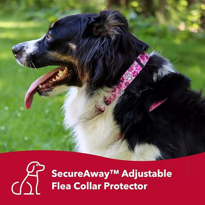 Coastal Pet SecureAway Collar Protector for Flea Collars - Adjustable pet Accessory - Protective Flea Collar for Dogs & Puppy - Multi Paws, 5/8" x 10-14"