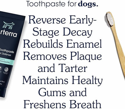 Remineralizing Dog Toothpaste – Vet-Grade, with Nano-Hydroxyapatite, Reverses Early-Stage Decay, Cleans Teeth, Removes Tartar, Freshens Breath by Arterra Pet Science, Plant-Based, Natural Flavor, 3oz