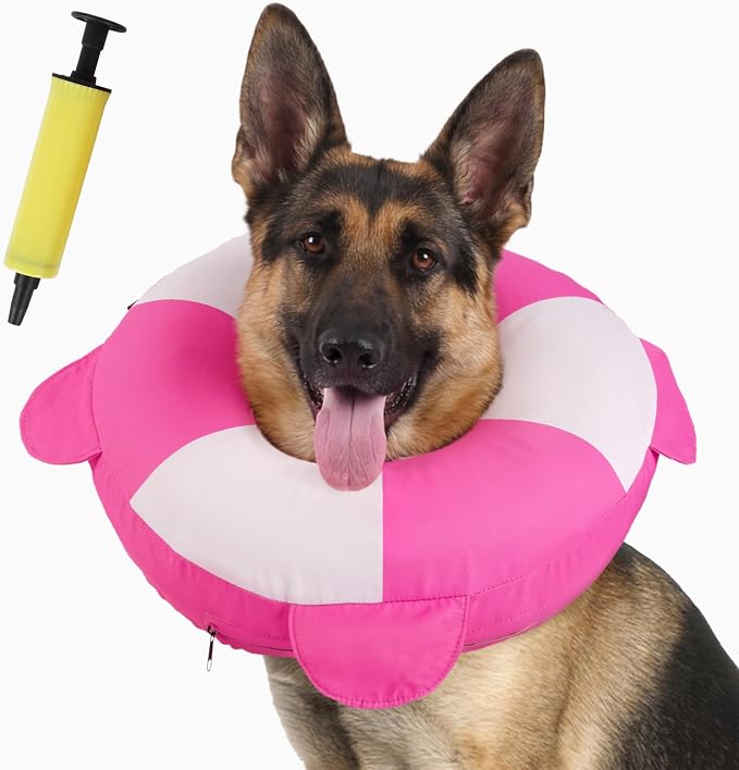 IECOii Inflatable Dog Recovery Collar, Comfortable Cone Alternative | Comfort Beyond the Cone | Pillow-Like Recovery | Full-View Freedom | Lick-Free Healing | Stay-Put Comfort | Easy-Clean Design