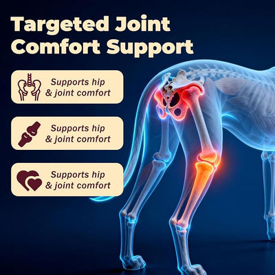 Dog Arthritis Pain Relief, Joint Pain Relief for Dogs, Anti-Inflammatory Support for Mobility & Comfort, Helps Manage Osteoarthritis, Easy-to-Use Oral Suspension 1.08 oz
