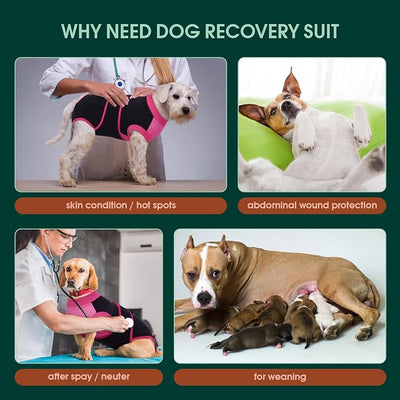 Kuoser Recovery Suit for Dogs After Surgery, Soft Dog Surgery Suit Female Male, Breathable Pet Surgical Recovery Shirt, Anti Licking Dog Onesie for Abdominal Wounds Cone Alternatives, Black S