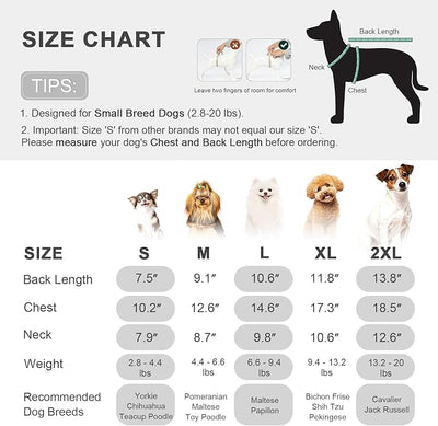 Warm Dog Winter Coat with Built-in Leash Ring, Fleece 4-Legged Sweatshirt Jumpsuit, Cute Let's Go Print Puppy Clothes for Small Dogs Boy Girl, Cold Weather Outfit