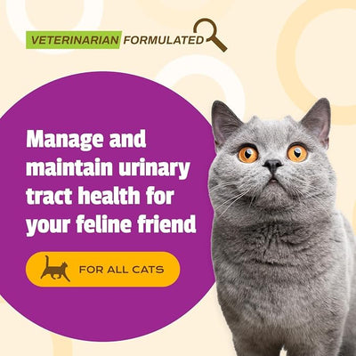 Pet Naturals UT Support Soft Chews for Cats, Urinary Tract Health with Cranberry and D-Mannose, Chicken, 60 Count