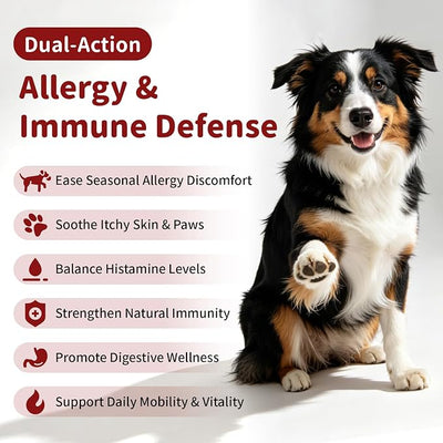 Dog Allergy Chews - Paw Licking, Seasonal Allergy & Itch Relief - Probiotics for Dogs Immune & Gut Health with Turkey Tail Mushroom, Pumpkin - Bacon Flavor - 90 Count