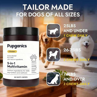 Multivitamin Soft Chews for Dog, with Probiotics, Glucosamine, CoQ10, Vitamins A, D3 & E, Chicken Flavor, 60 Count