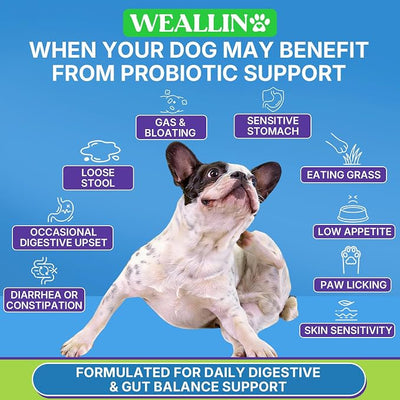 200 PCS Probiotics for Dogs - Dog Probiotic Chews for Gut Health, Digestive Support & Itchy Skin Relief Pet Diarrhea Gas Treatment - Probiotics, Digestive Enzymes, Prebiotics, Pumpkin