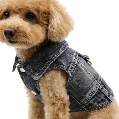 Dog Jeans Jacket for Small Dogs Boy, Puppy Denim Jacket with Leash D-Ring, Pet Cat Vest Clothes T-Shirts for Small Dogs, Puppy, Pugs, Chihuahuas, Yorkie,Teacup (Black, Large)