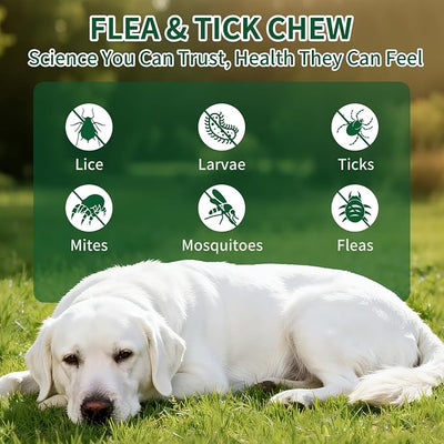 Flea and Tick Chewable for Dogs 200ct - Dog Flea and Tick Supports, Natural Yeast Omega 3 for Skin Coat & Itching Relief, Immune Support, Oral Supplement for All Breeds & Ages