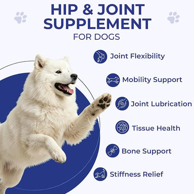Hip & Joint Supplement for Dogs, Hip and Joint Chews Support Mobility, Senior Small All Breed Pain Relief with Glucosamine Chondroitin MSM Turmeric Green Lipped Mussel, Chicken Flavor, 100 Ct