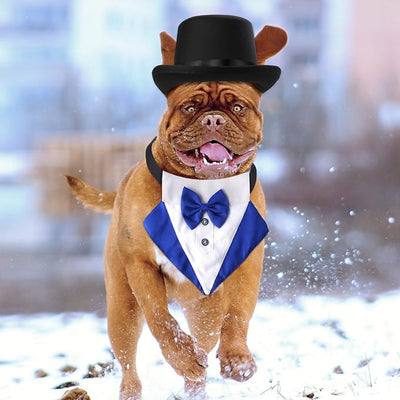 Yewong 2-Piece Pet Formal Accessories Set - Top Hat with Tuxedo Bandana Collar for Dog & Cat (Set-E)