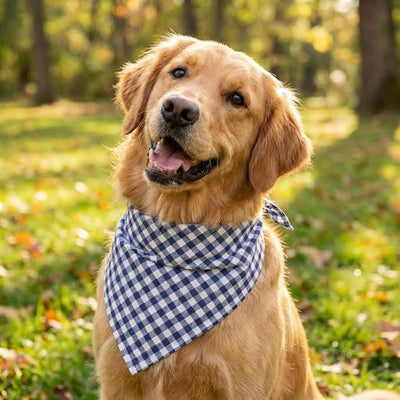 Cotton Linen Dog Bandanas 1 Pack, Plaid Checkered Bandana for Large Dogs, Soft Breathable Classic Dog Apparel & Accessories (Blue Plaid, Large)