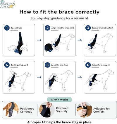 Dog Knee Brace for Right Hind Leg Support - CCL ACL Brace for Dogs, Vet Approved, Adjustable Orthopedic Support for Arthritis, Ligament Injuries & Post-TPLO Surgery Recovery (S (CB))