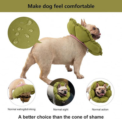 H HIDREAM Dog Cone Collar Stress-Free Recovery Cone Alternative: Adjustable Depth & Diameter for Wide-Neck Dogs (Pugs, Bulldogs, Bullies) Green Flower XL-B
