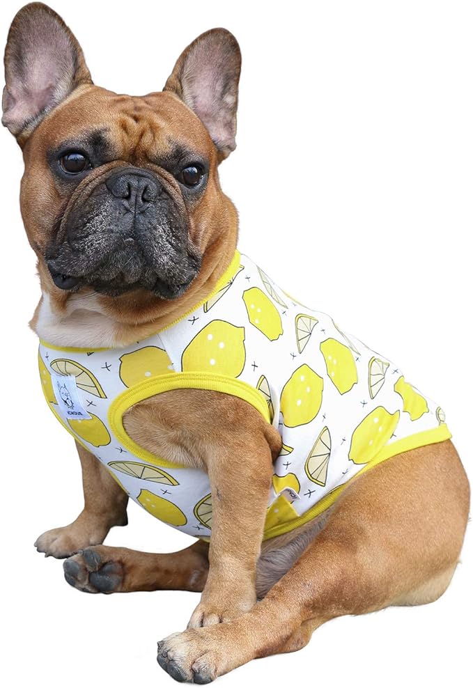 iChoue 100% Breathable Cotton English Bulldog Halloween Cartoon T Shirts Cute Clothes for Medium Large Dogs Vest Tank Tops Terrier Pitbull Lemon - XXLarge