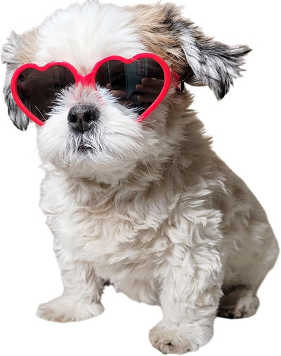 G016-1 Dog Pet Heart Costume Sunglasses for Small to Medium Breed (M, 12-25 lbs, Red-Mirror, JN)