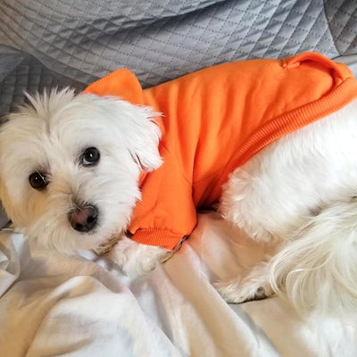 Jecikelon Soft Dog Hoodies for Small Dogs, Fleece Puppy Sweatshirt with Pockets, Warm Winter Cold Weather Coats for Pet Cat, Cute Clothes Puppy Costume (Orange, X-Small)