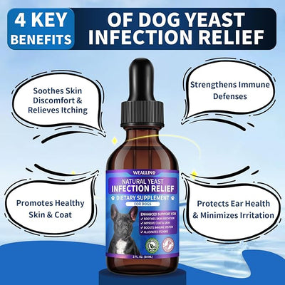 Natural Yeast Infection Treatment for Dogs | Probiotic-Powered Drops with 8-Herbal Blend | Supports Skin, Ears, Allergy Relief | Dog Yeast Infection Treatment Oral Supplement | Bacon-Flavored