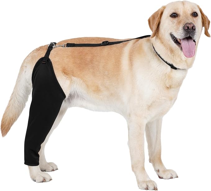 BARKLESS Single Dog Rear Leg Sleeve to Stop Licking, Breathable Male Female Dog Recovery Suit for Post Surgery, Comfortable Back Leg Sleeve for Wound Healing, Protective Cone Collar Alternative