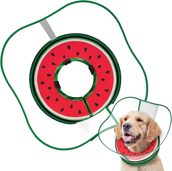 Sponge Dog Cone Collar, Dog Donut Collar After Surgery with Clear Shield, Adjustable Soft Cone for Dogs to Stop Licking-Comfy Cone for Large Medium Small Dogs (Watermelon,XXL)
