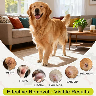 Topical 99.995% DMSO for Dogs Lipoma, Lipoma Treatment for Dogs, Reduce Fatty Lumps and Bumps Inflammation, Swelling, Dog Pain Relief, DMSO in Glass Bottle with Precision Dropper, 1.7 oz