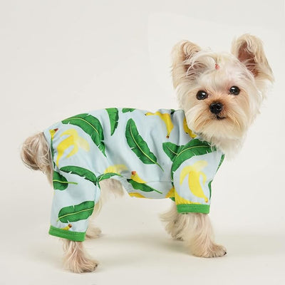 Dog Pajamas Pjs Soft Stretchy Dog Clothes for Small Dogs Girl Boy Medium Size Dogs Spring Summer Puppy Clothes Doggie Onesies Cat Pet Jammies Outfit