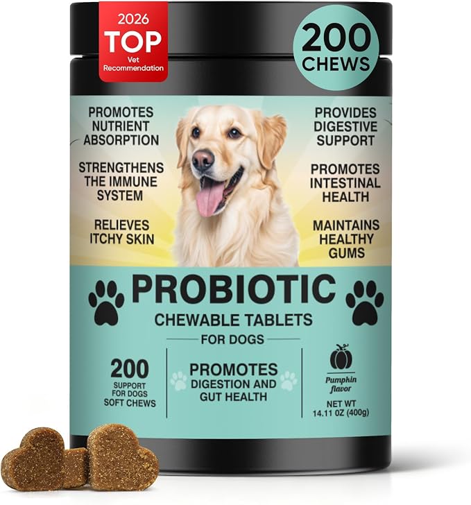 Probiotics for Dogs Gut Digestive Health Probiotic Chews for Dogs Digestive Enzymes Relieve Diarrhea Immunity Oral Problems Itching Constipation Prebiotics Dog Probiotics 200 Ct Pumpkin