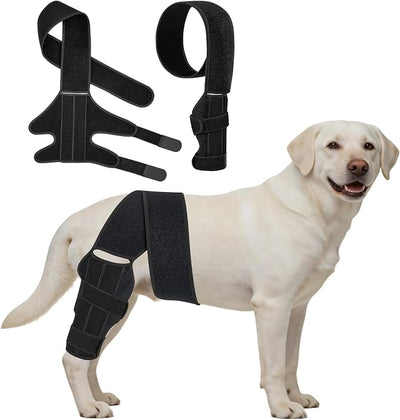 Dog Knee Brace for Back Leg, Adjustable Elbow Braces with Stabilizers, Canine Joint Support for Torn ACL, Luxating Patella, Arthritis, Ligament Injury and Post-Surgery Recovery, Universal (L)