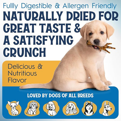 FETCHERONI Premium Chicken Feet Dog Treats - Dehydrated Poultry Foot - No Additives - Digestible Chew - Joint Health Support - All Natural (100-Pack)